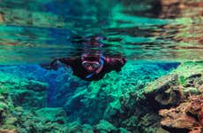 Silfra Snorkelling Experience